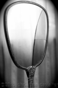 Beauty and Attractiveness