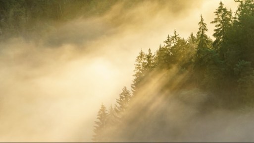 Top Tips for Being a Better Medium