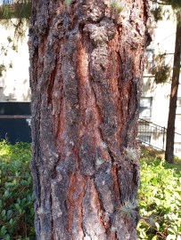 Notes 04/27/22 – Alchemy