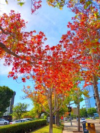 Autumn 2023 Leaf Peep’in