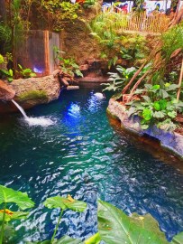 Dallas World Aquarium