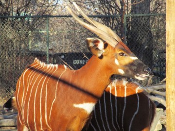 Caldwell Zoo, Tyler, TX 2025