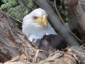 Utah’s Hogle Zoo, Salt Lake City, UT