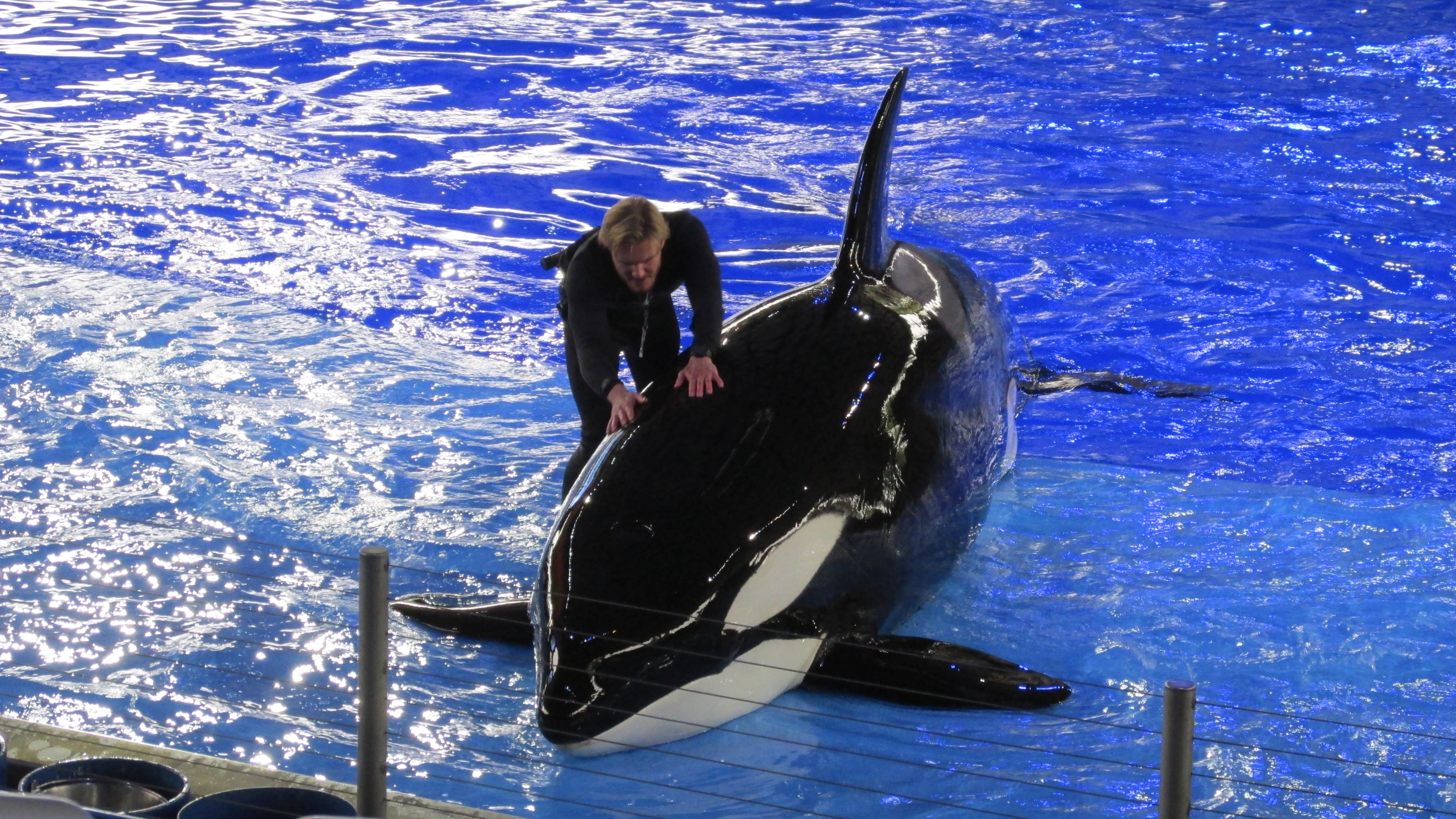 SeaWorld, San Antonio, TX 2025