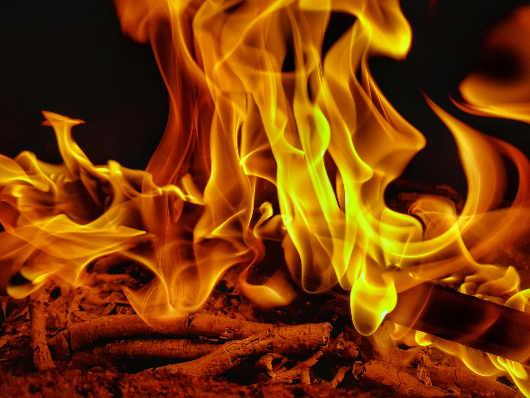 close up of fire flames