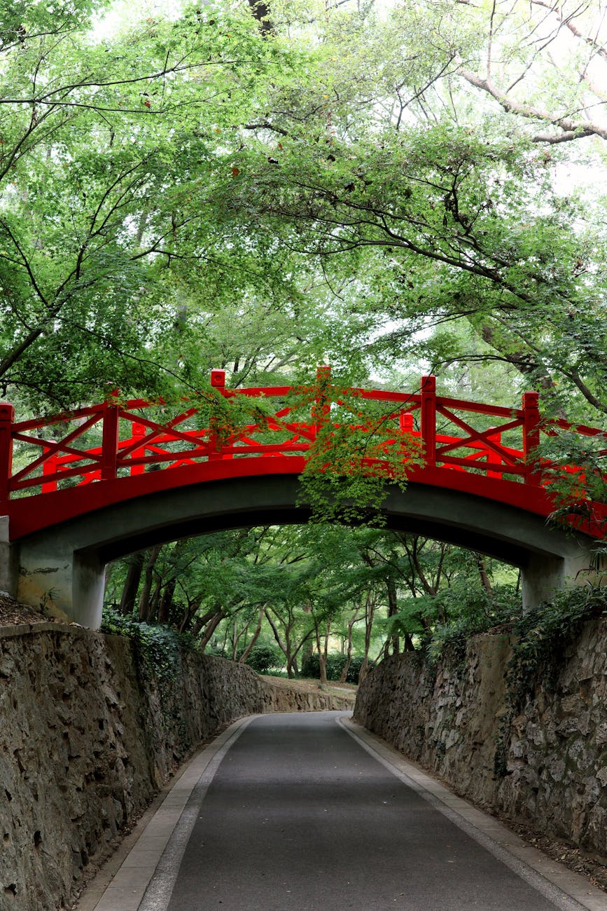serene pathway under red japanese bridge