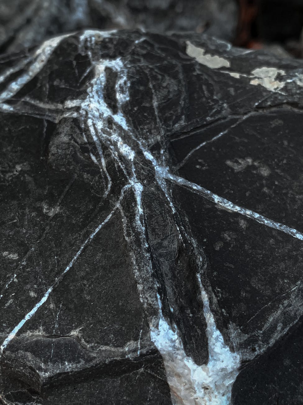 Psychic Daily Tip: 4/17/26 – “Astrophyllite’s Metaphysical Properties”