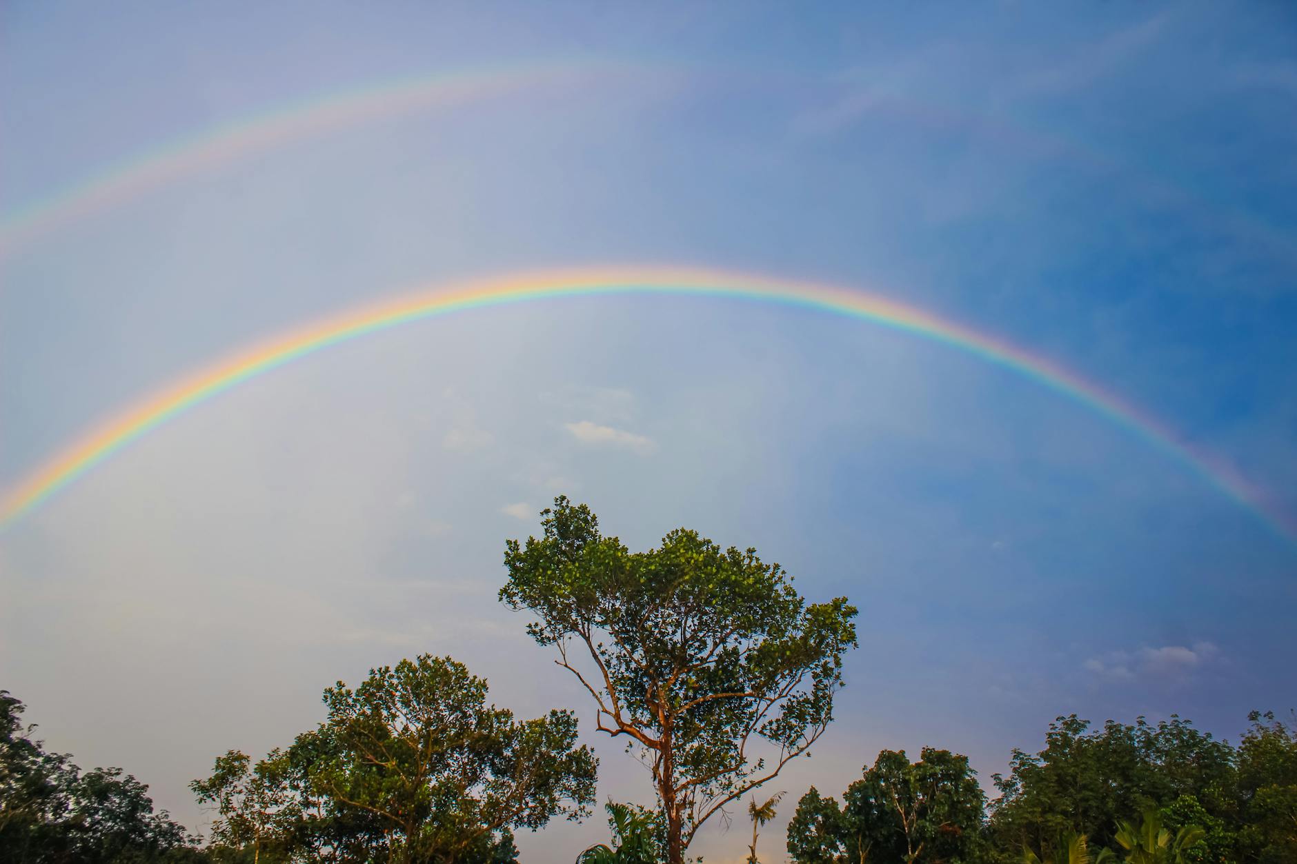 Psychic Daily Tip: 4/15/26 – “Ecology: Earth’s Water Cycle”